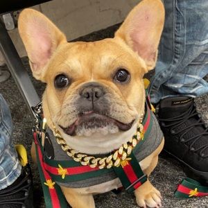 Meet your Posher, Ramelo